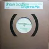 12inch Vinyl Single - Shaun Escoffery - Days Like This