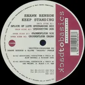 Shawn Benson - Keep Standing