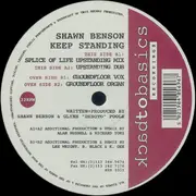 12inch Vinyl Single - Shawn Benson - Keep Standing