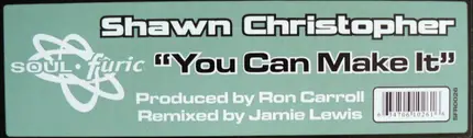 Shawn Christopher - You Can Make It