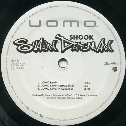 Shawn Desman - Shook