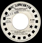 Shawn Elliott - Hello Heartache Goodbye Love / The Sidewinder