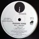 12inch Vinyl Single - Shawn Kane - Girl, I Wonder - Promo