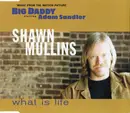 CD Single - Shawn Mullins - What Is Life