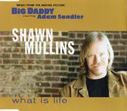 Shawn Mullins - What Is Life