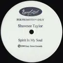 12inch Vinyl Single - Shawnee Taylor - Spirit In My Soul