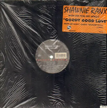 Shawnie Ranks - Goody Good Love