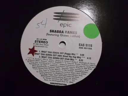 Shabba Ranks Featuring Queen Latifah - What'Cha Gonna Do?