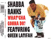 CD Single - Shabba Ranks Featuring Queen Latifah - What'cha Gonna Do?