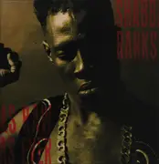 LP - Shabba Ranks - As Raw As Ever