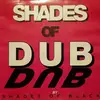 LP - Shades Of Black - Shades Of Dub