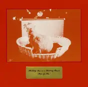 Shadowy Men on a Shadowy Planet - Music For Pets