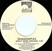 Shadowfax - What Goes Around