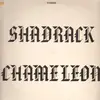LP - Shadrack Chameleon - Shadrack Chameleon