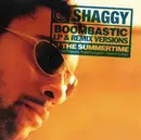 CD Single - Shaggy - Boombastic (LP & Remix Versions) / In The Summertime