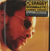 Shaggy - Boombastic