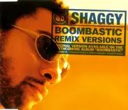 Shaggy - Boombastic (LP & Remix Versions) / In The Summertime