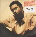 12'' - Shaggy Featuring Grand Puba - Why You Treat Me So Bad