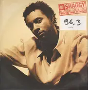 Shaggy Featuring Grand Puba - Why You Treat Me So Bad