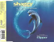 Shaggy Featuring Rayvon - In The Summertime ('96 Version)