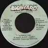 7inch Vinyl Single - Shaggy Featuring Rayvon - Summertime