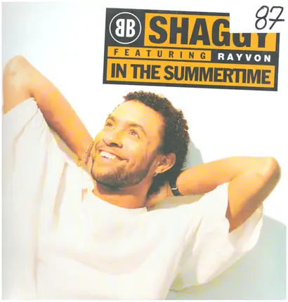 Shaggy Featuring Rayvon - In The Summertime
