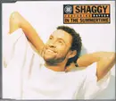 CD Single - Shaggy Featuring Rayvon - In The Summertime