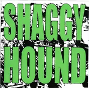 Shaggy Hound