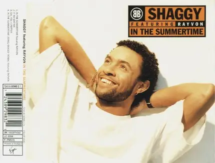 Shaggy - In The Summertime