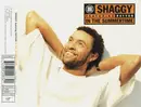 CD Single - Shaggy - In The Summertime