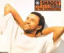 7'' - Shaggy - In The Summertime