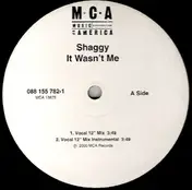 Shaggy - It Wasn't Me