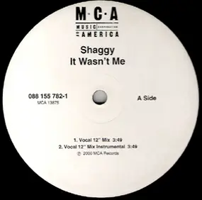 Shaggy - It Wasn't Me