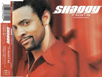 Shaggy - It Wasn't Me