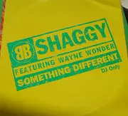 12inch Vinyl Single - Shaggy - Something Different
