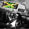 CD - Shaggy - Rise