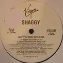 12'' - Shaggy - Why You Treat Me So Bad