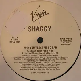 Shaggy - Why You Treat Me So Bad