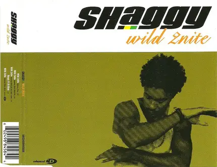 Shaggy - Wild 2nite