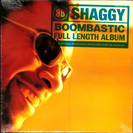 Shaggy - Boombastic