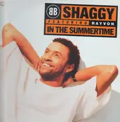 Shaggy - In The Summertime