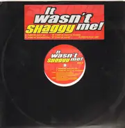 Shaggy - It Wasn't Me!
