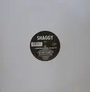 12inch Vinyl Single - Shaggy - Something Different