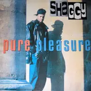 Shaggy - Pure Pleasure