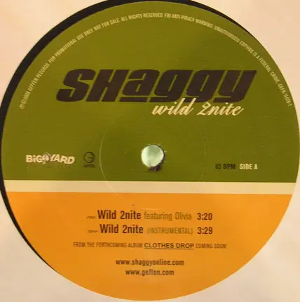 Shaggy Featuring Olivia - Wild 2nite