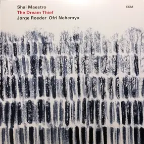 Shai Trio Maestro - The Dream Thief