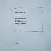 Shai Maestro