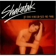 Shakatak - If You Could See Me Now