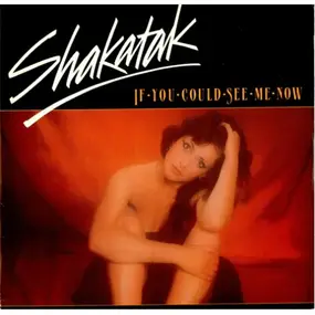 Shakatak - If You Could See Me Now