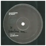 12inch Vinyl Single - Shakedown - At Night - Promo